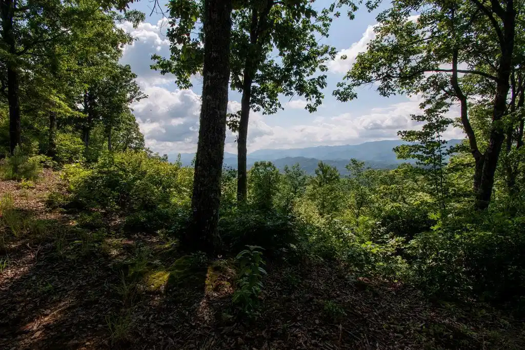 Image 1: Main View