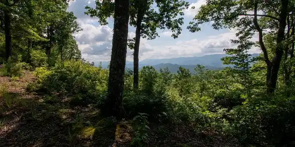 850 Bluff Road