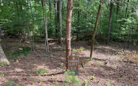 LOT13 Sour Apple Lane