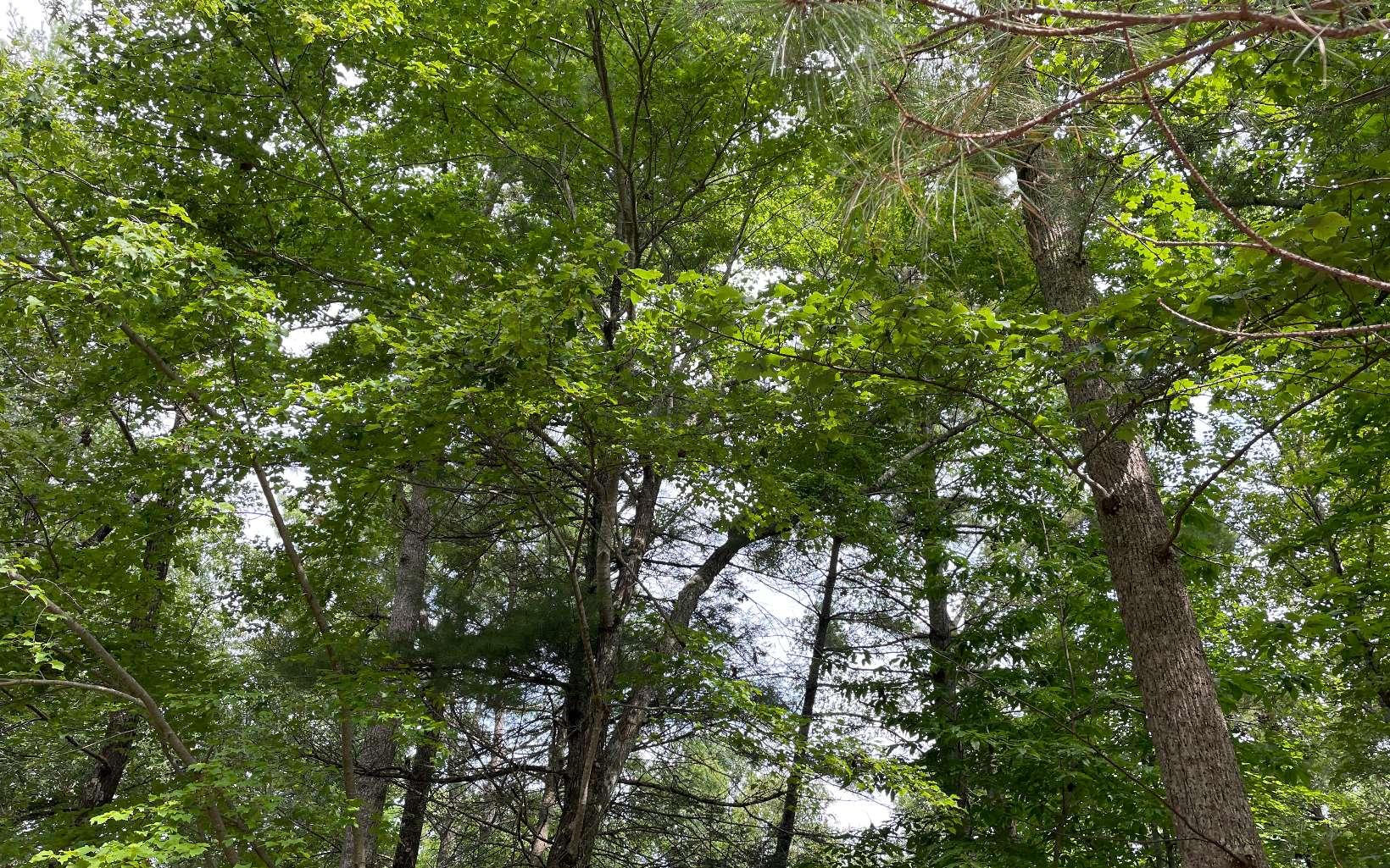 Image 3: Additional View