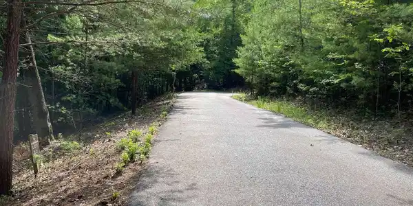 Image 4: Additional View
