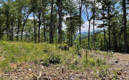 Lot 95 The Ridges
