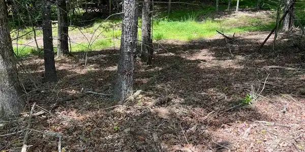 Image 4: Additional View