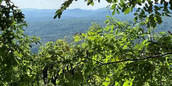 Lot 11 Brasstown Heights
