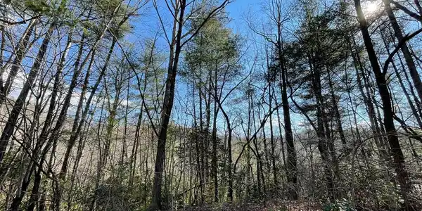 Lot 42 Granite Dr/Fires Crk