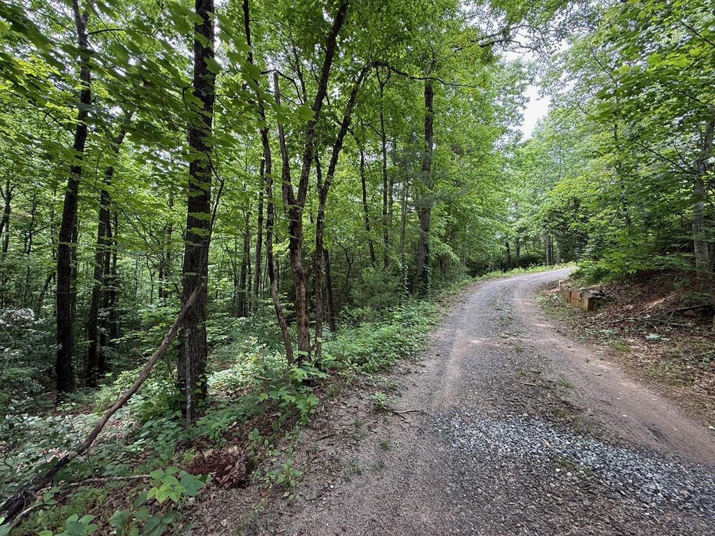 Image 1: Main View
