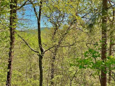 694 Railey Ridge