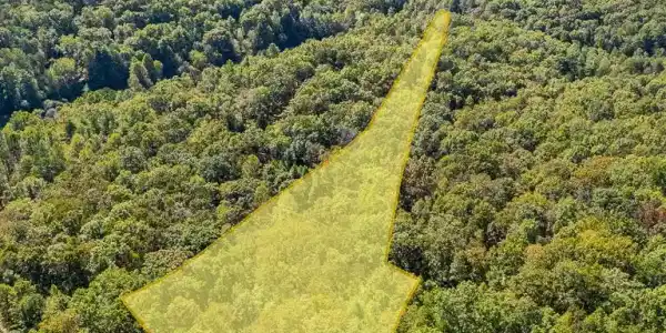 Wolf Print Ridge