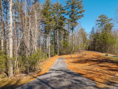 77 Big Pine Hill