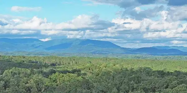 Lot 20 Mt. Springer Road