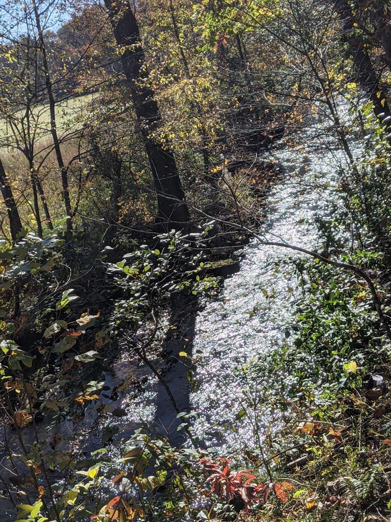 Image 2: Stover Creek