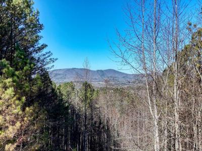 Lot 24 Loftis Mountain