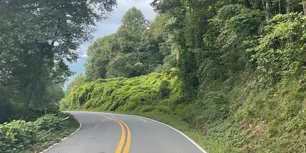 Cold Branch Road