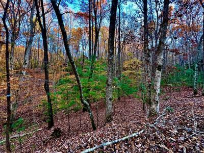 296 Valley View Road