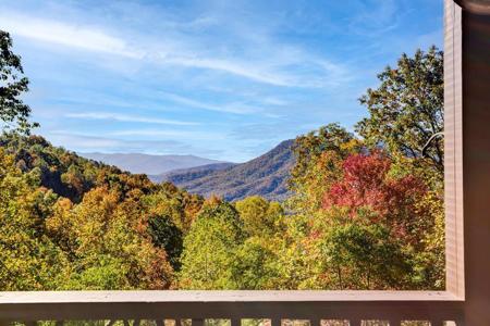 7031 Black Bear Trail