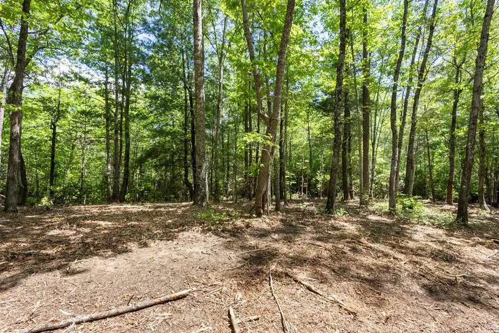 Image 1: Main View