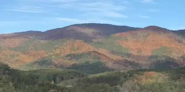 Lot 197 Skyline View Drive