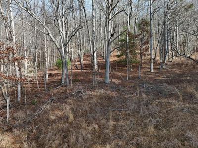 Lot 2 Jordan Road