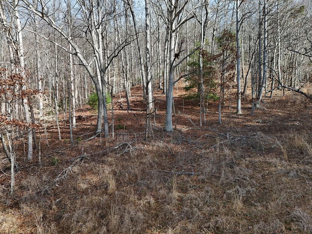 Image 1: Main View