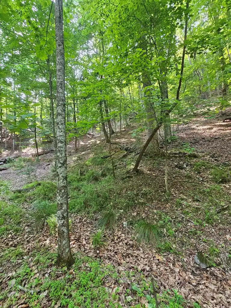 Image 1: Main View