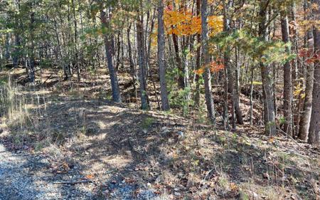 LOTS Tucker Road