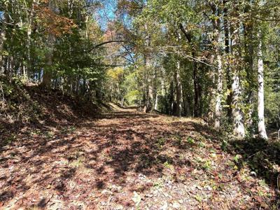1.87 AC Hwy 180 And 348
