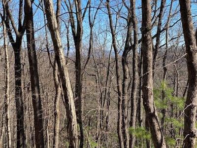 5.91 ac Sunrock Mtn Trace