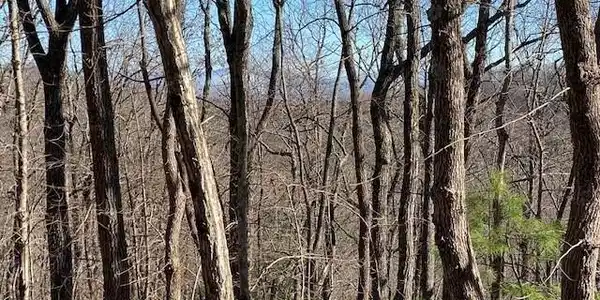 5.91 ac Sunrock Mtn Trace