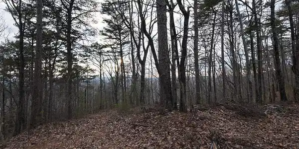 198 Log Round Mountain Trail
