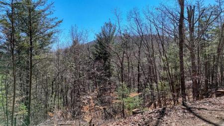 Lot 10 Firefly Ridge Road