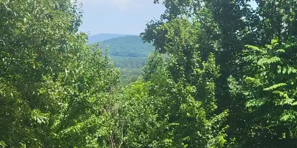 24 Mountain Knoll Lane