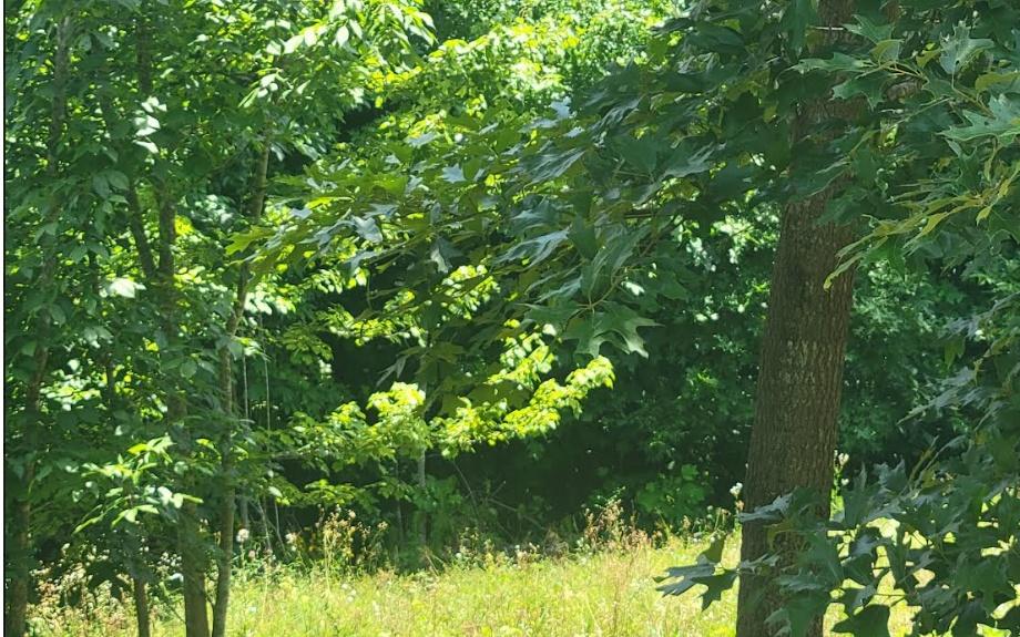 Image 4: Additional View