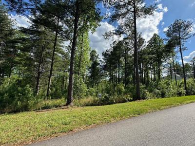 LT 83 Highpoint Trail