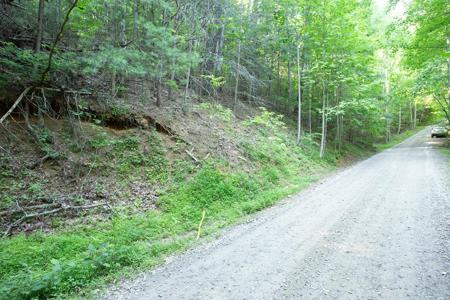 Lot 168 Aj's Holler