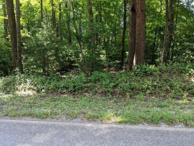 3.84 AC Matheson Cove Road