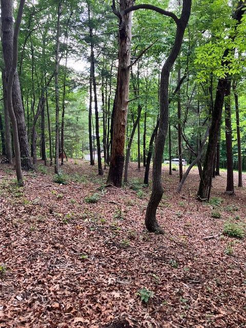 Image 2: Lot view