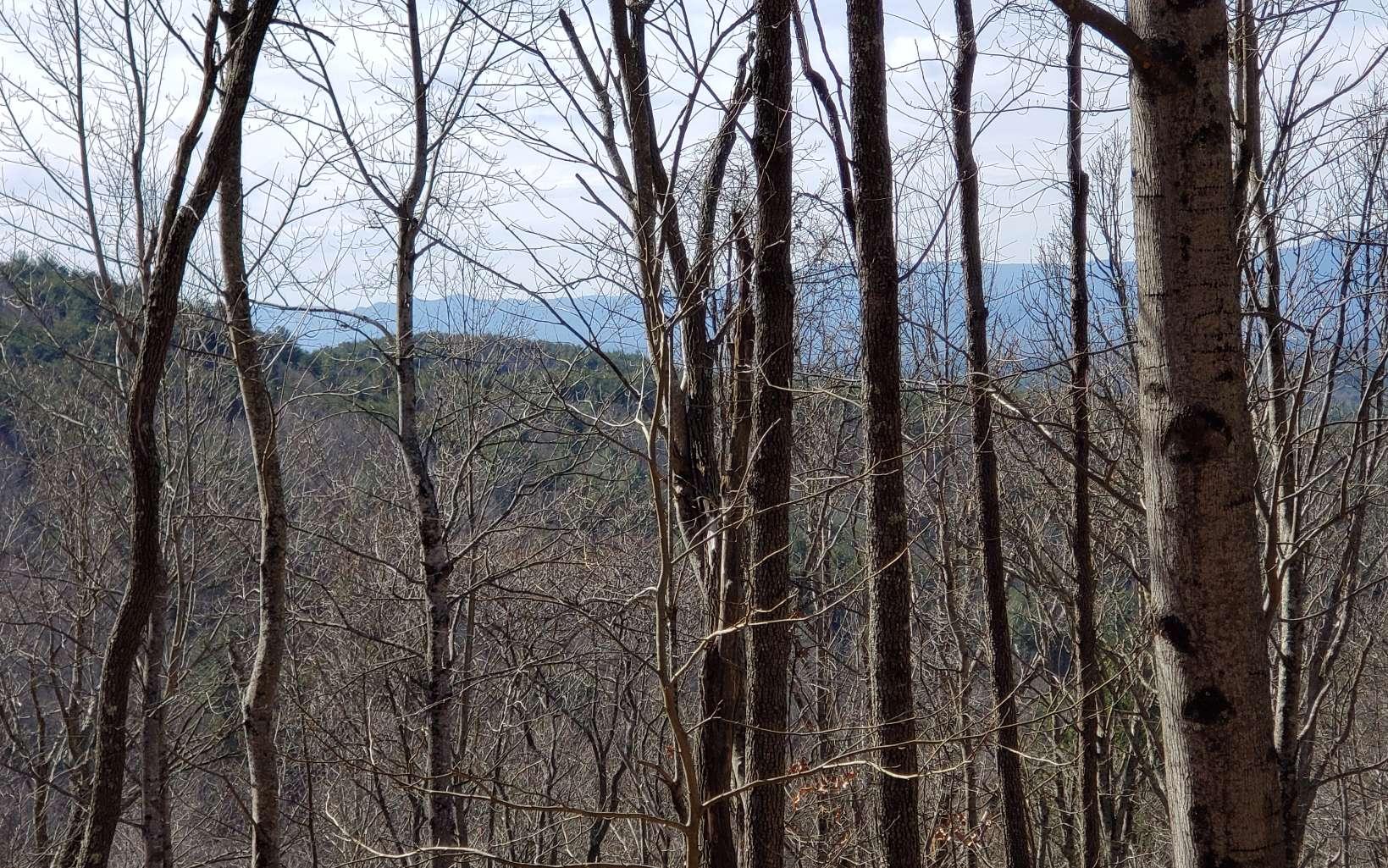 Image 3: Additional View