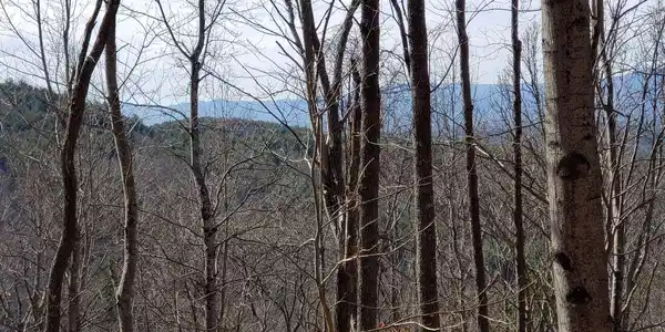 Image 3: Additional View