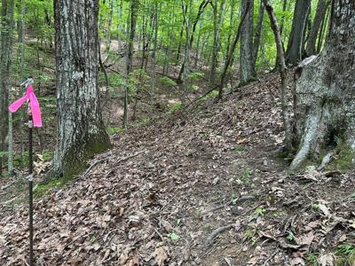 Lot 13 Picklesimer Mountain Road