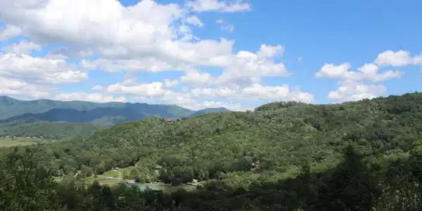 Image 4: Additional View