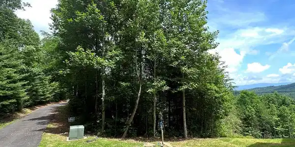 Lot 6 Carolina Fox Circle