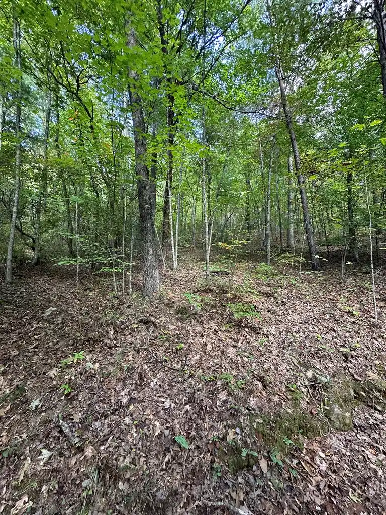 Image 1: Main View