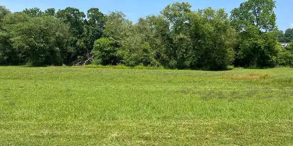 Lot 55 Brasstown Trails