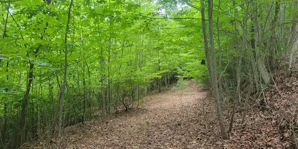 Lot 25 Double Knob Drive E
