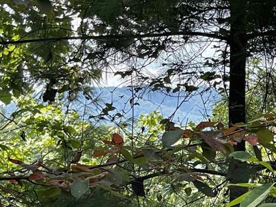 Lot 43 Fires Creek Cove Road
