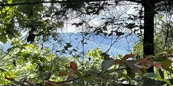 Lot 43 Fires Creek Cove Road