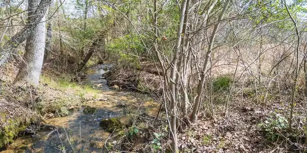 25 + 26 Wolf Creek Preserve