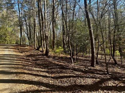 Mountain Creek Road