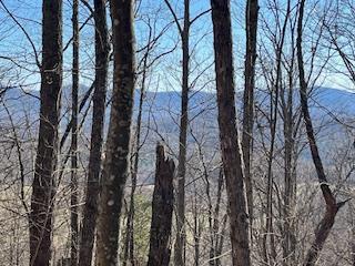 n/a Turkey Ridge
