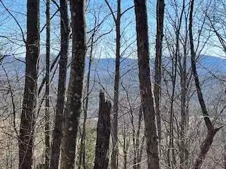 n/a Turkey Ridge